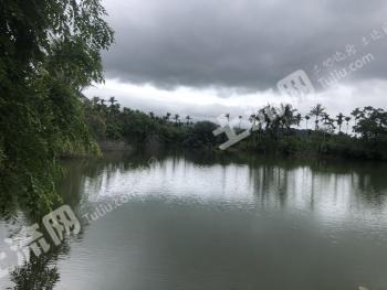 海南万宁市 15亩 其它耕地经营权 出租