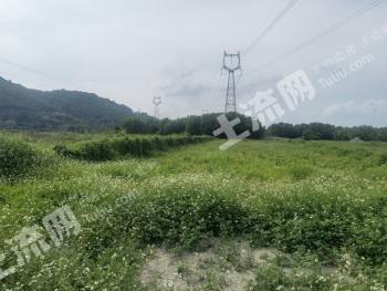 潮州潮安区 2亩 有林地 转让