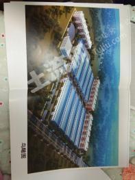 河南周口 100亩 厂房 使用权转让