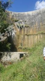 张家口涿鹿县 9000亩 灌木林地 经营权转让