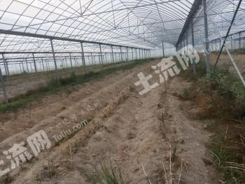 赣州兴国县120亩大棚经营权出租