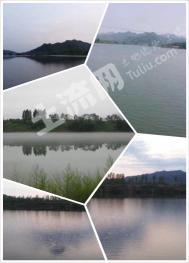 丹东凤城市 5000亩 有林地 经营权转让