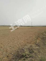 乌鲁木齐达坂城区 100亩 其它园地 经营权出租