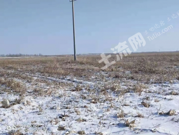 齐齐哈尔甘南县10亩旱地经营权转让