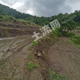 云南德宏陇川20亩 其它耕地 经营权出租