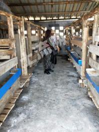 恩施市宣恩县40亩设施农用地出租