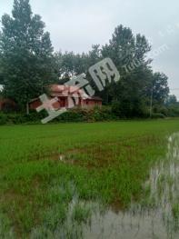 襄阳市南漳县 6亩 其它林地 经营权转让