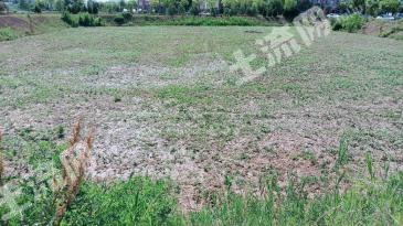 平凉市8238平米综合用地使用权转让