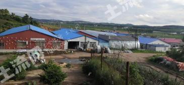 四平伊通满族自治县 30亩 有林地 经营权转让