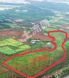 云南玉溪易门县约18亩 水浇地 经营权出租