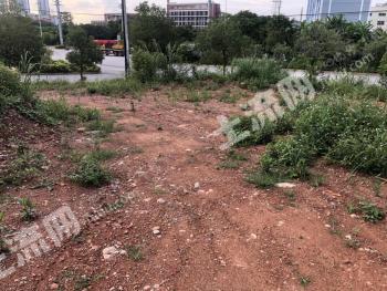 南宁邕宁区11亩空闲用地使用权出租