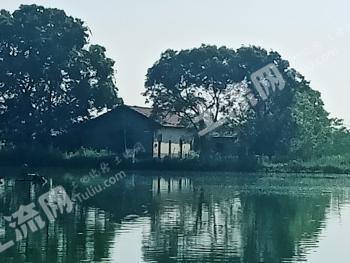 荊門(mén)沙洋縣農(nóng)村宅基地使用權(quán)出租