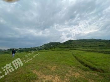 六盘水盘州市 3.61亩 水田 转让