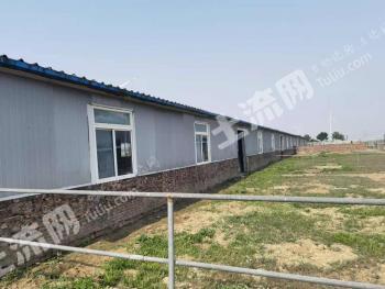 沧州海兴县50亩养殖用地-畜牧养殖用地转让