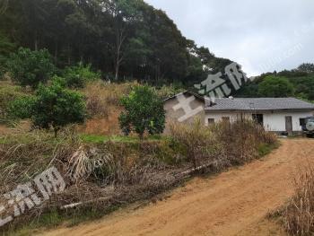 龙岩武平县90亩果园经营权转让