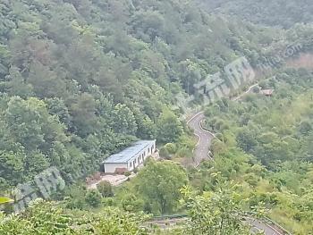 十堰张湾区 100亩 果园 经营权转让