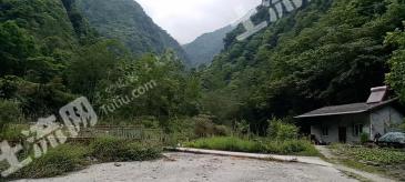 四川省绵阳市北川3268亩林地转让