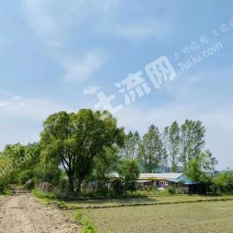 哈尔滨阿城区 130亩 乔木林地 经营权转让