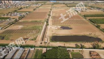 太原小店区 316.8亩 其它耕地 经营权出租