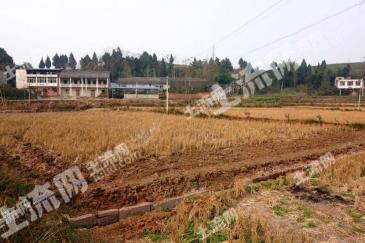 海口秀英区 240亩 畜牧养殖用地经营权 出租