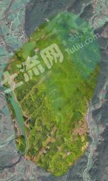 宜昌远安县 2000亩 乔木林地 经营权转让