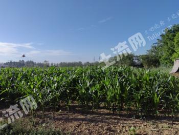 运城稷山县 30亩 水浇地 经营权转让