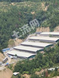 赣州 120亩 5000头肉猪场转让