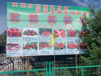 塔城沙湾县52.06亩果园经营权转让