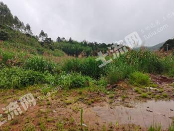 莆田涵江区 27.86亩 荒地 使用权出租