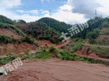 郴州桂东县 3.33亩 其它林地 经营权出租