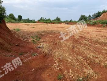 衡阳石鼓区20亩林地出租