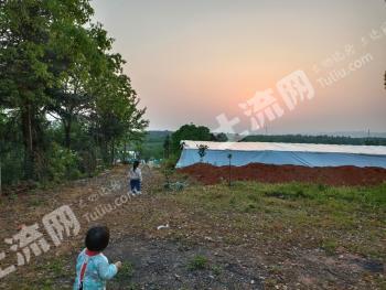 金华兰溪市 50亩 畜牧养殖用地经营权 出租