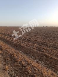 阿拉善盟阿拉善左旗200000亩沙地经营权出租