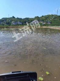 重庆开州区194亩养殖用地-水产养殖用地转让