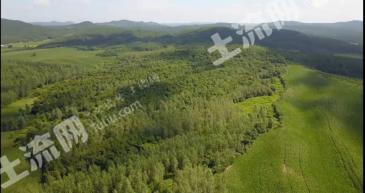 吉林龙潭区237.87亩有林地转让