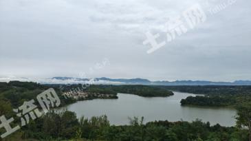 绵阳涪城区 20000平米果园和400平宅基地使用权 合作