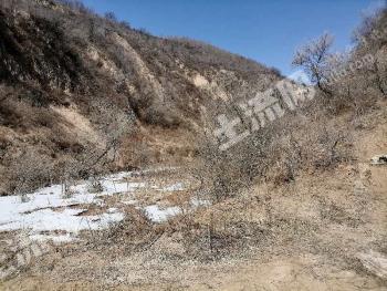 延安宝塔区20亩畜牧养殖用地出租