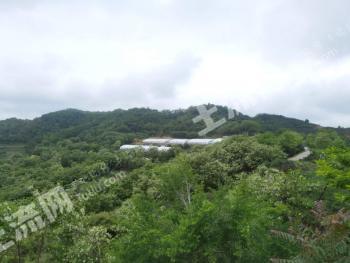 天水秦州区 21.6亩 畜牧养殖用地 合作