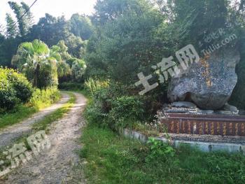 长沙浏阳市 210亩 有林地 经营权转让