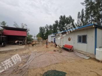 焦作武陟县 10.22亩 农场 使用权出租