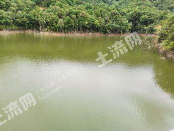 赣州会昌县80亩水产养殖用地经营权出租