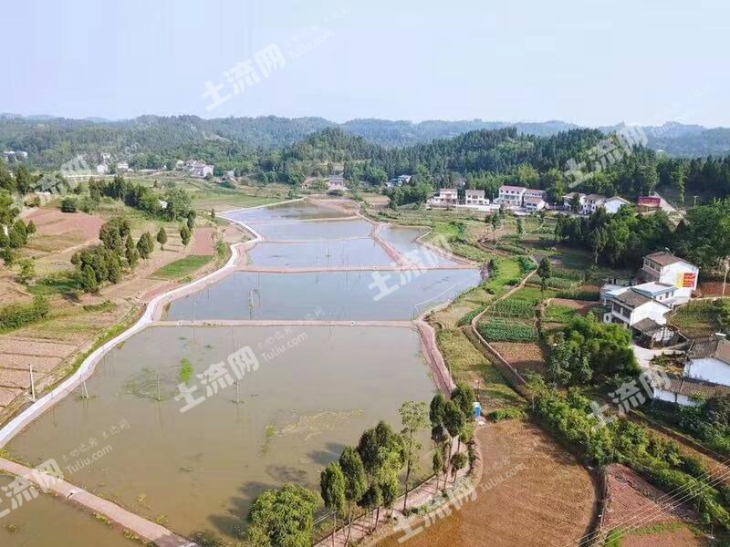 资阳安岳县 50亩 水产养殖用地 经营权转让