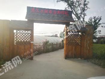 泰州高港区 34.76亩 果园 经营权转让/出租