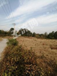 咸宁咸安区 120亩 综合养殖用地 经营权转让/合作