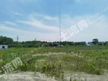 嘉兴南湖区 200亩 工业用地 使用权转让