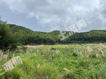 赣州240亩园地-果园经营权转让