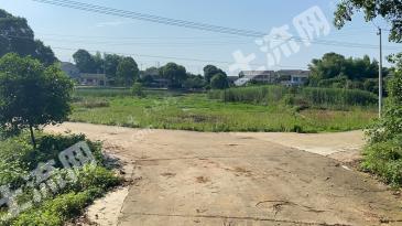 益阳沅江市 4亩 其它耕地 经营权出租