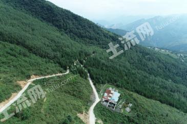 六盘水水城县 1317.42亩 乔木林地 经营权转让