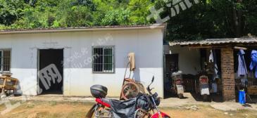 赣州全南县168亩果园经营权转让