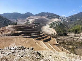 台州天台县 2500亩 乔木林地 经营权合作